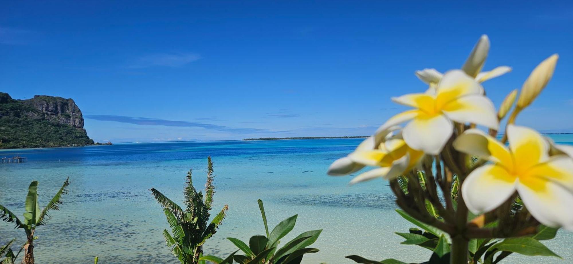 Taria Camping Hotell Te-Fare-Arii Exteriör bild