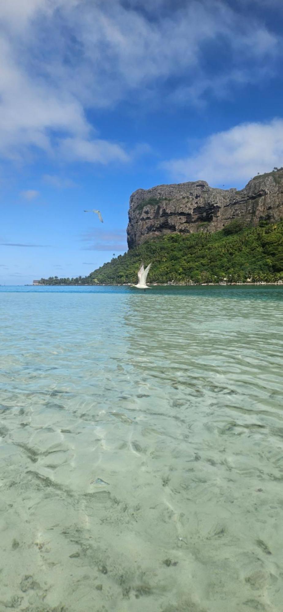 Taria Camping Hotell Te-Fare-Arii Exteriör bild